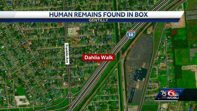 New Orleans utility worker finds human remains in a box - Vimarsana News