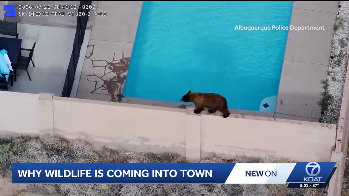 Drought drives wildlife into neighborhoods and threatens trees