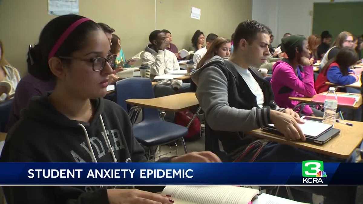 College essay guy picture