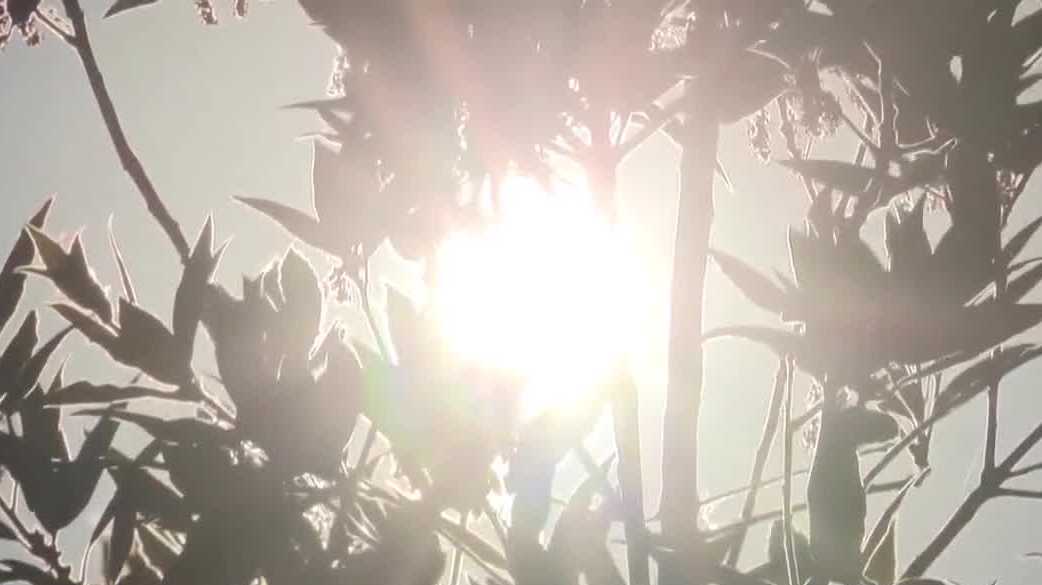 Professional advice to keep energy bills low during extreme heat