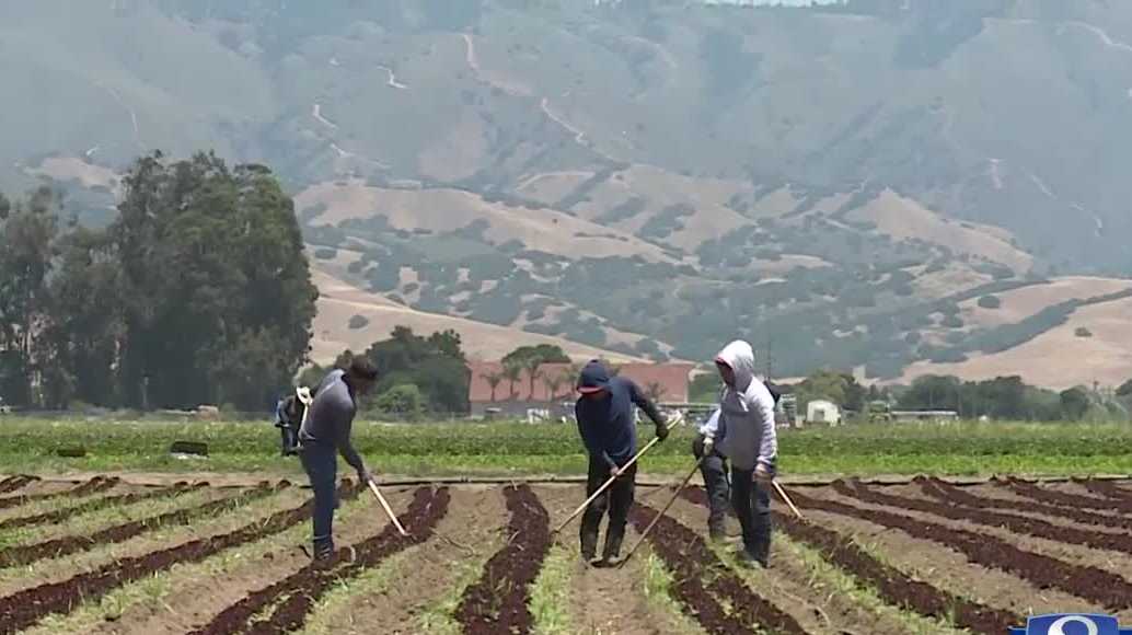 Organization helps farmworkers become farm owners