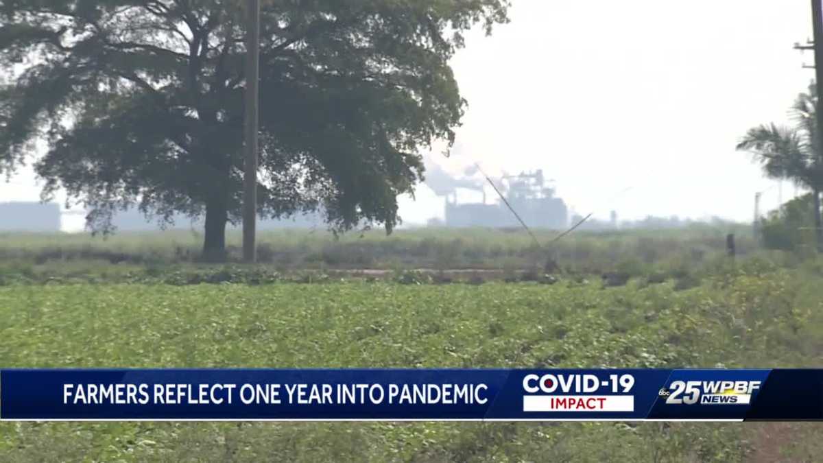 Pahokee farmer says things are different since pandemic