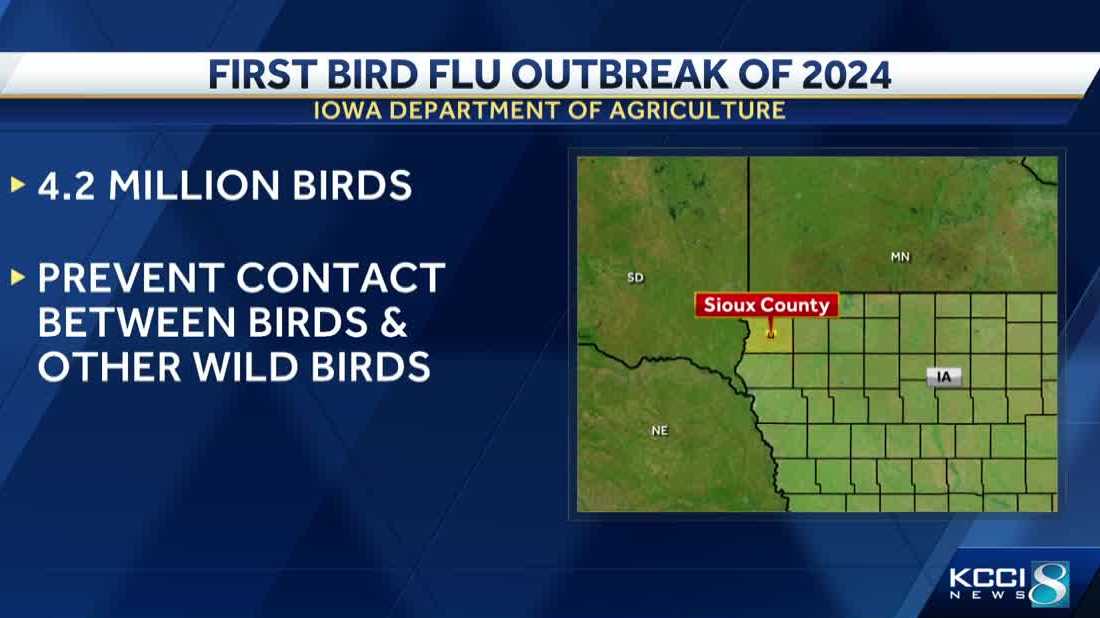 Bird flu strikes flock of 4.2 million chickens in Sioux County - Vimarsana News