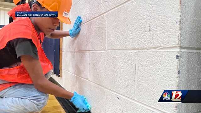 North Carolina: Experts break down mold remediation and health risks - Vimarsana News