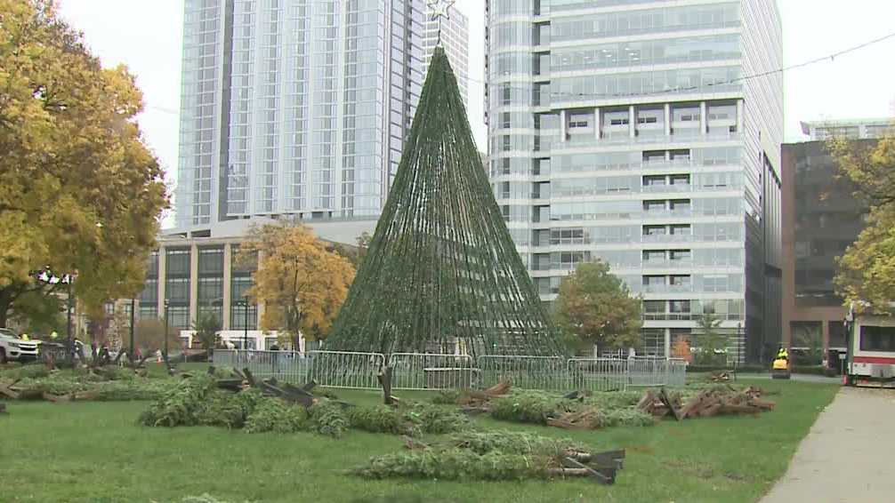 DPW to harvest 2023 city of Milwaukee Christmas Tree Nov. 1