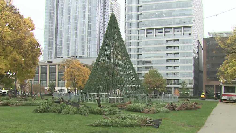 DPW to harvest 2023 city of Milwaukee Christmas Tree Nov. 1 DPW to harvest 2023 city of Milwaukee Christmas Tree Nov. 1