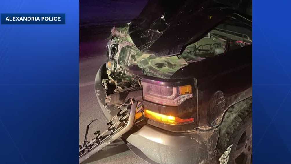Alexandria, New Hampshire crash: Moose, car collide - WMUR