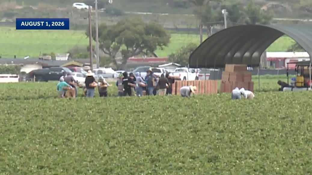 Umbilical cord still attached to dead newborn found near Moss Landing, witness said
