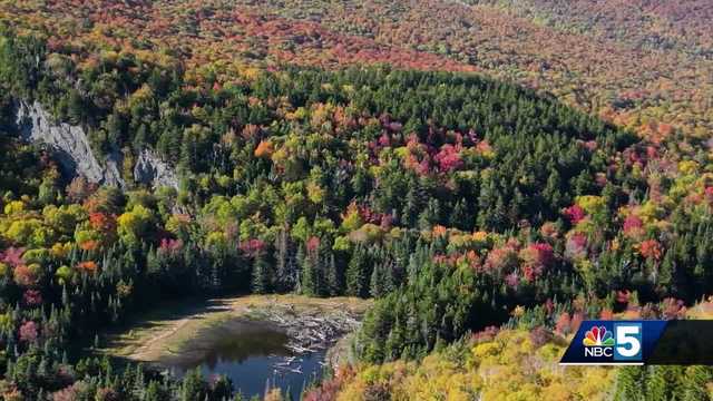 UVM experts say extreme weather could cause issues with Vermont foliage season - Vimarsana News
