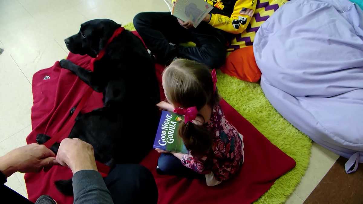 Watch: Videos you may have missed this week