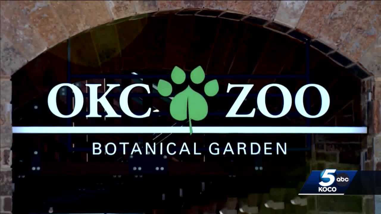 OKC Zoo's Sip and Stroll event returns this summer