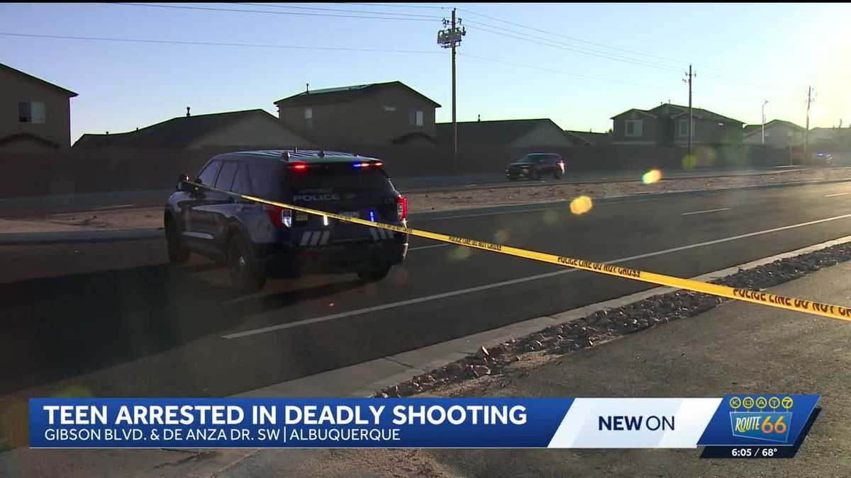 Juvenile arrested after fatally shooting 20-year-old female