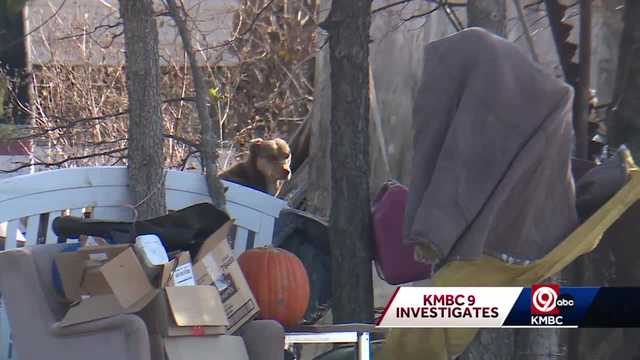 Cass County, Missouri, officials put property owner on notice to clean up illegal 'salvage yard' - Vimarsana News