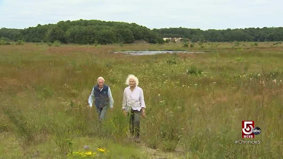Mass Audubon Society restored abandoned cranberry bog to original wetlands