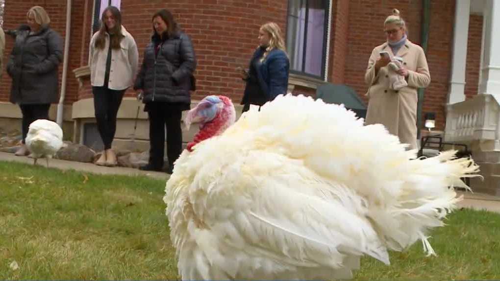 Iowa governor pardons turkeys Freedom and Flourish