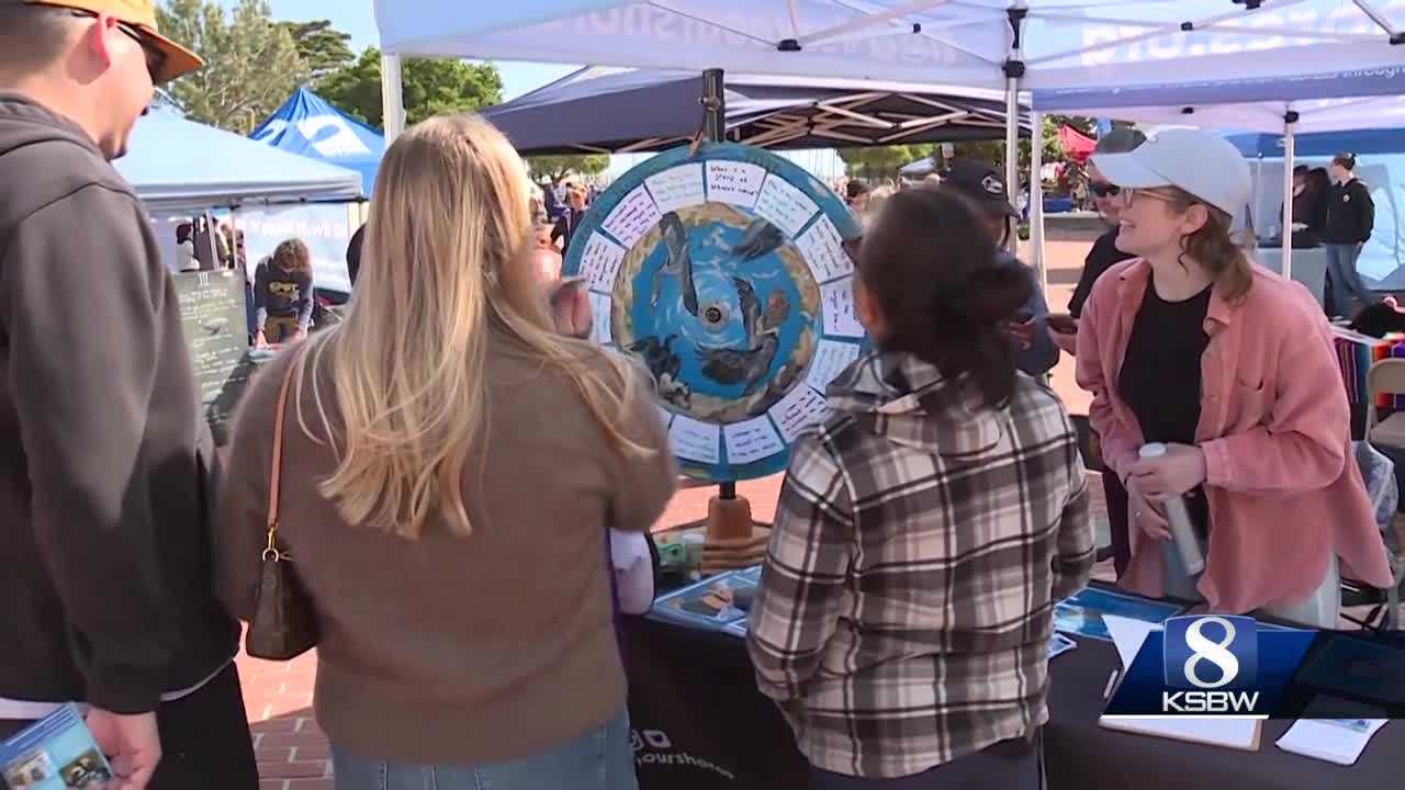 Whalefest Monterey to return with live music and educational experiences