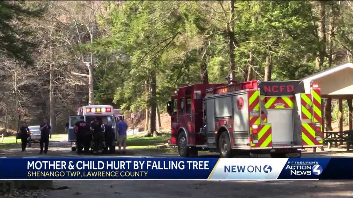 Mother, child hurt after tree falls in Lawrence County