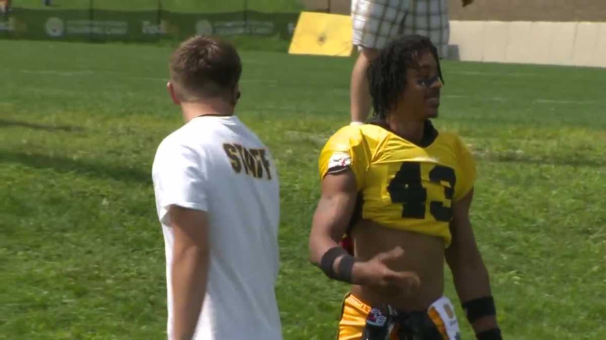 Steelers fan put on full pads, Troy Polamalu jersey and tried to practice  with the team