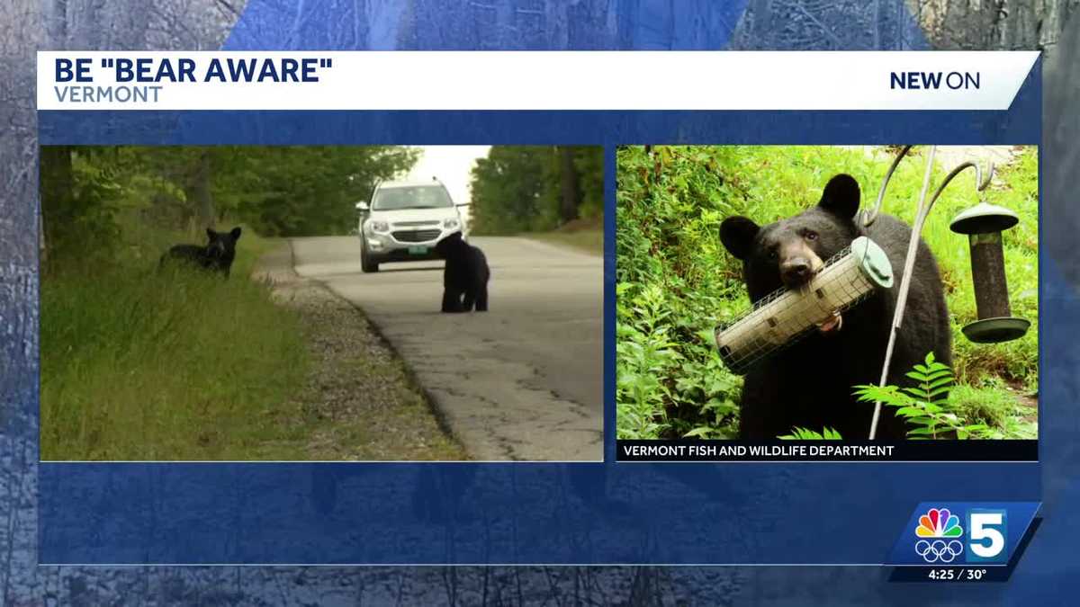Vermont residents urged to be 'bear aware' as hibernation ends