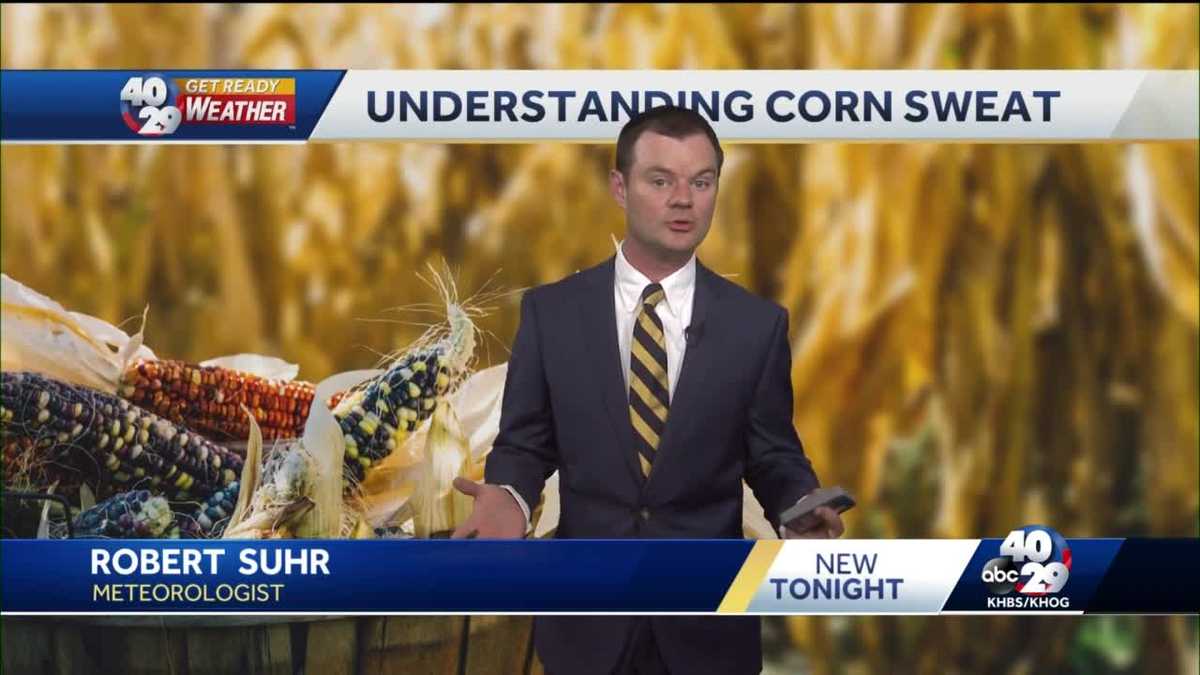 Understanding corn sweat