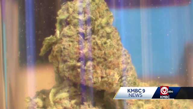 Missouri counties will miss first marijuana expungement deadline - Vimarsana News