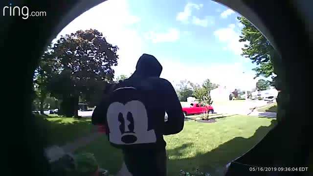 Police looking for suspected burglar caught on camera
