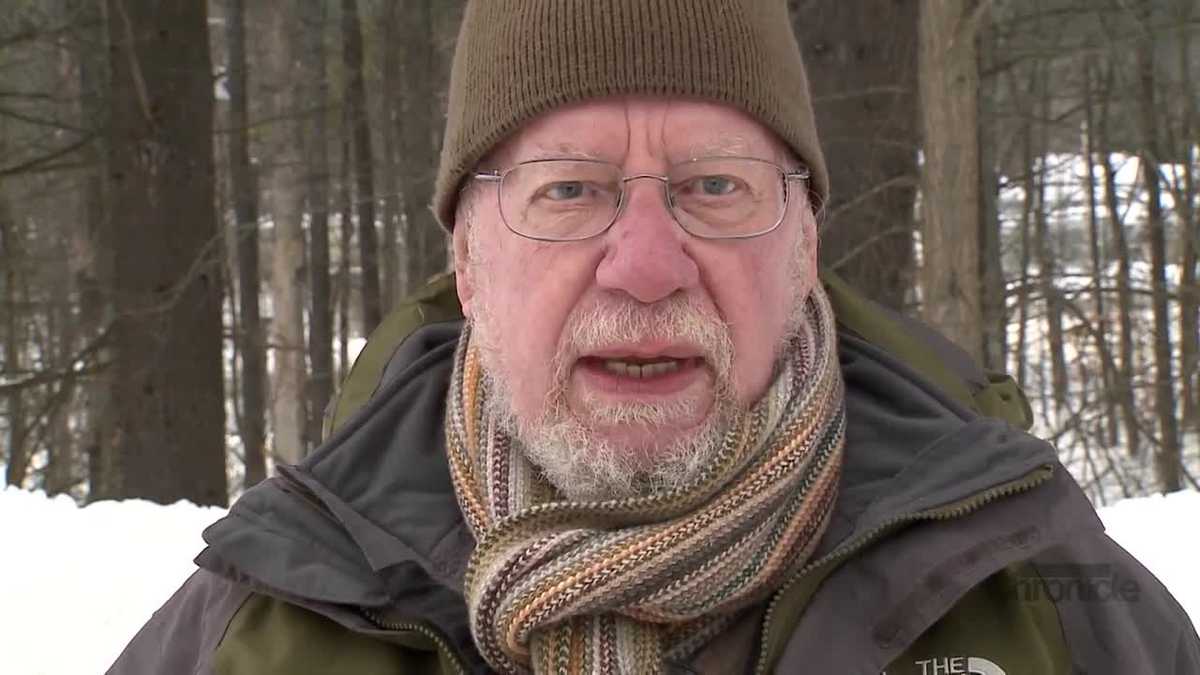 Fritz Wetherbee: Binky and Fern and the Wild Animal