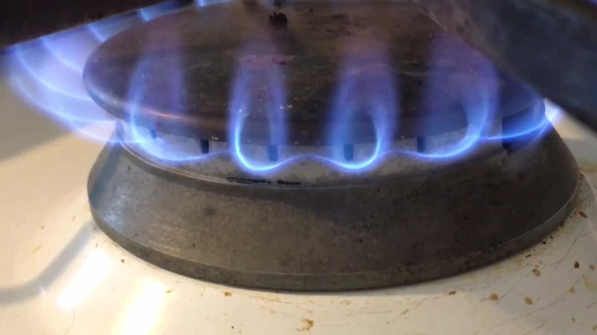 The Alliance for Green Heat - Description of stoves