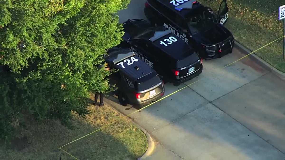 Assault News Image