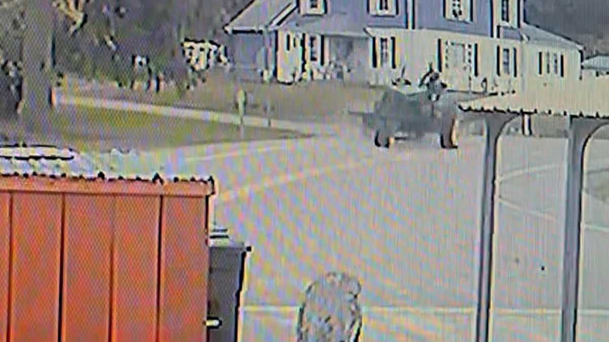 New York hayride crash: 10 injured - KOAT