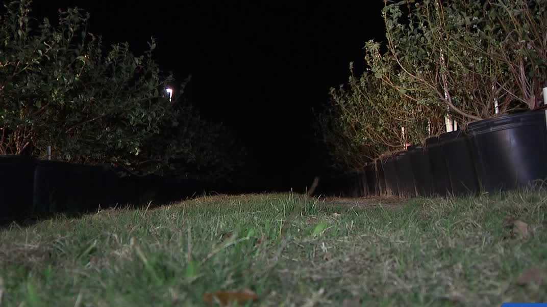 Florida farmers face billions in losses due to cold weather