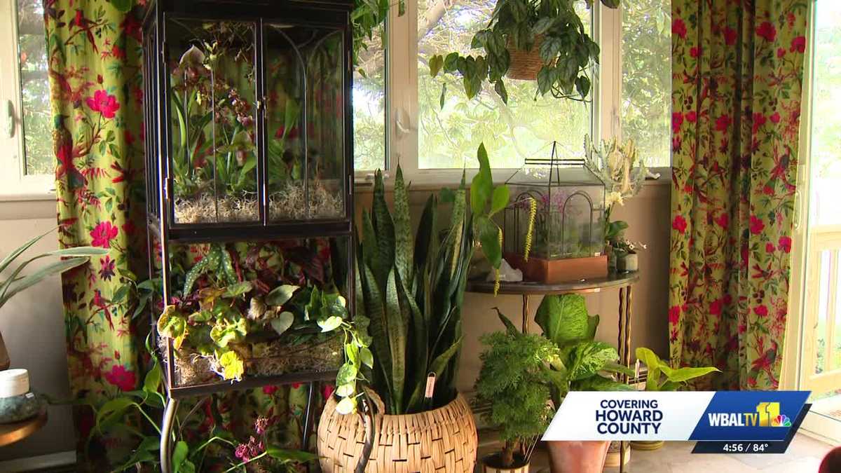 Howard County historic home hosts 35th decorator show house - WBAL