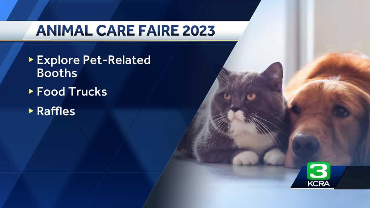 Bradshaw Animal Shelter hosts Animal Care Faire, offers free adoptions