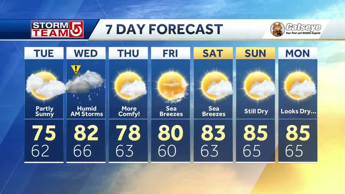 Video: Mostly cloudy evening