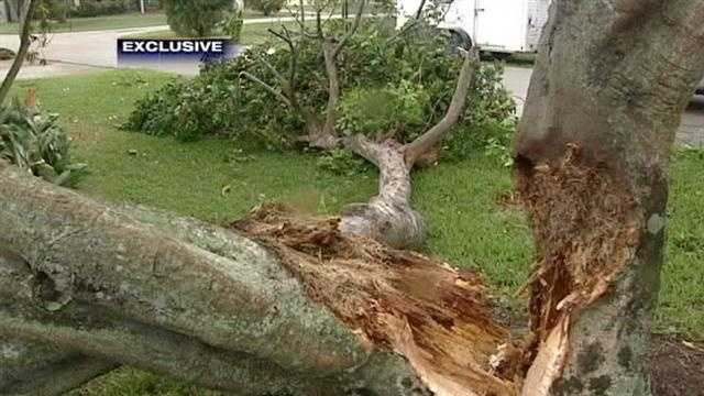 Sandy damages church, snaps tree in half