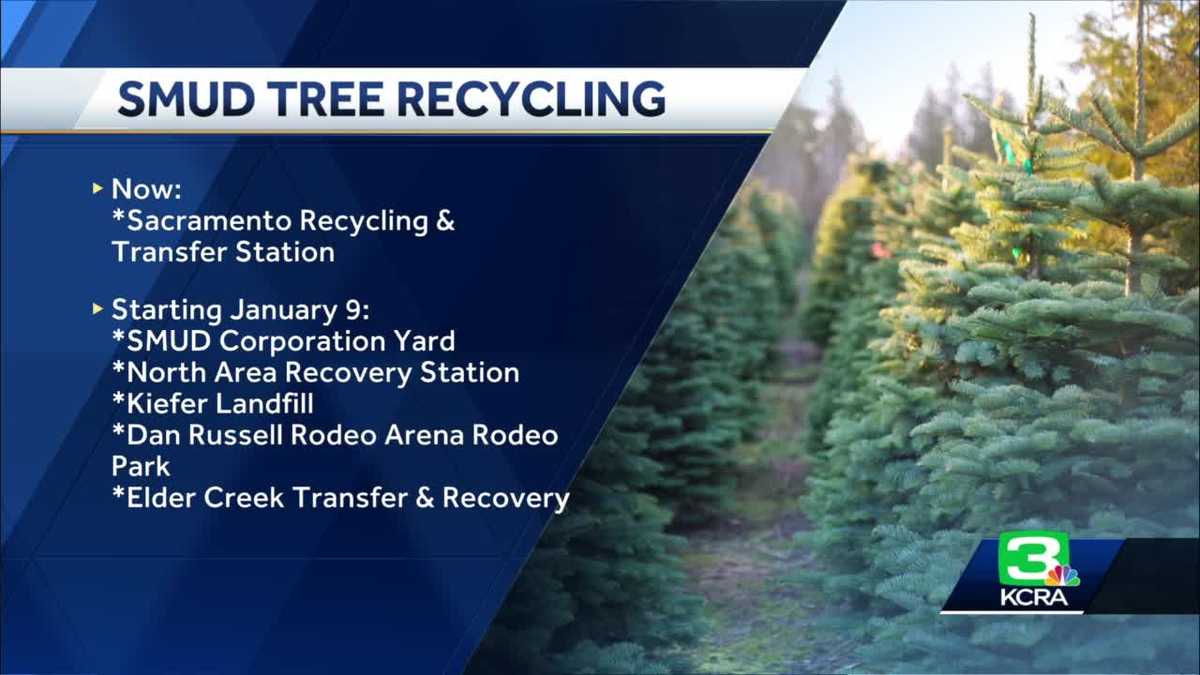 Here’s where you can recycle your Christmas tree in Sacramento