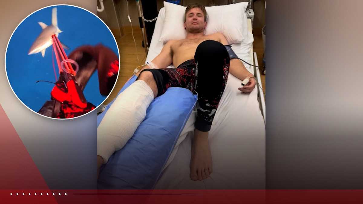 Shocking Shark Attack Caught on Camera: Diver's Narrow Escape