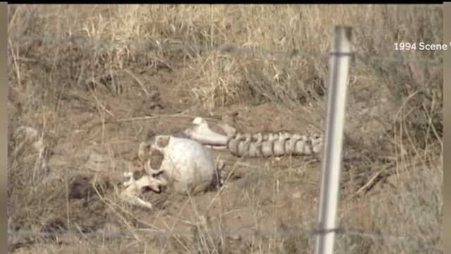 Multiple human bones found throughout Albuquerque - Vimarsana News