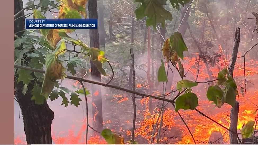 Forest Fire in Fair Haven contained after days of work