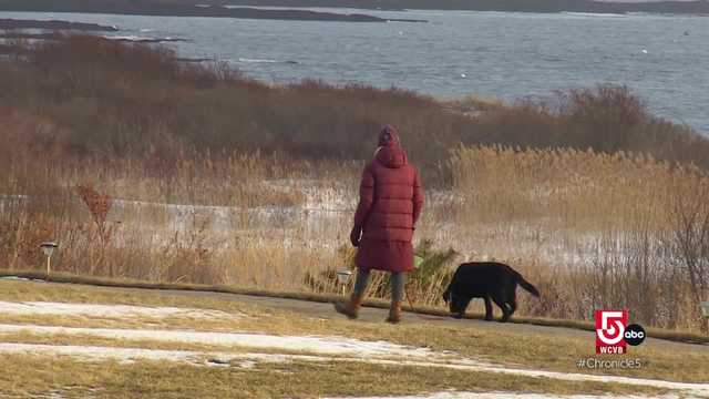 Where to bring your furry friend, explore the winter weather, and grab a bite to eat in Portland, Maine - Vimarsana News