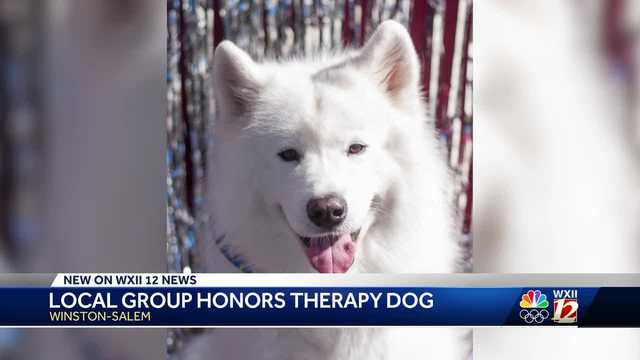 Beloved Forsyth County therapy dog still spreading love and joy even after he's gone - Vimarsana News