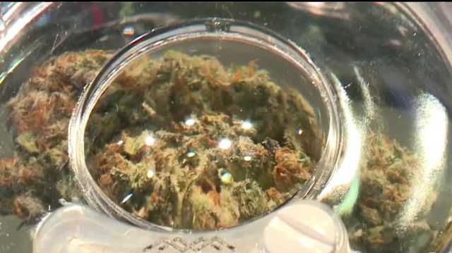 Recreational cannabis sales in New Mexico break records - Vimarsana News