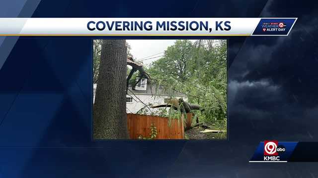 Storm damage reported in areas across Wyandotte, Johnson counties - Vimarsana News