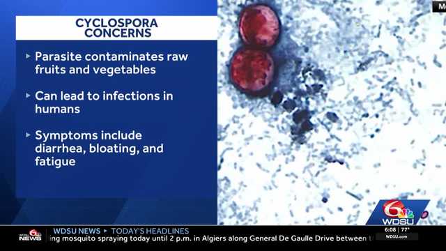 Parasite causing diarrhea nationwide reported in Louisiana