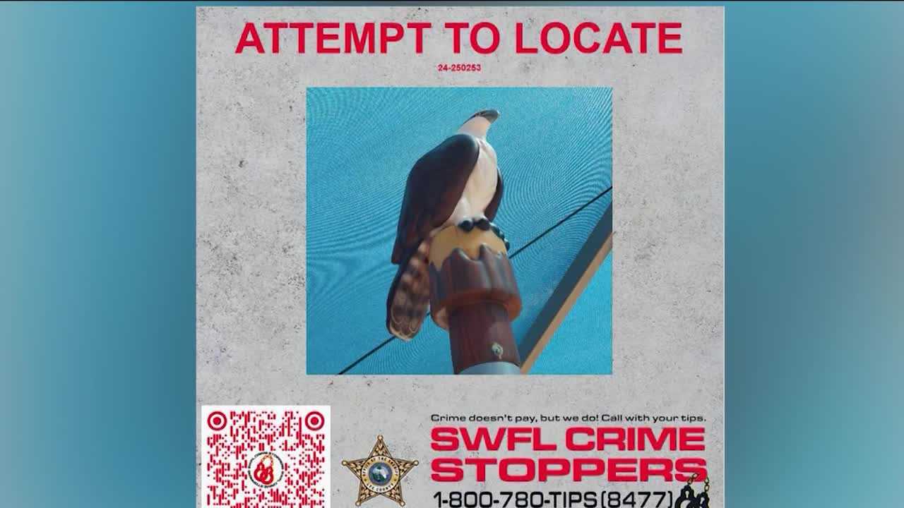 Bird statue stolen from Lakes Park in south Fort Myers - Vimarsana News