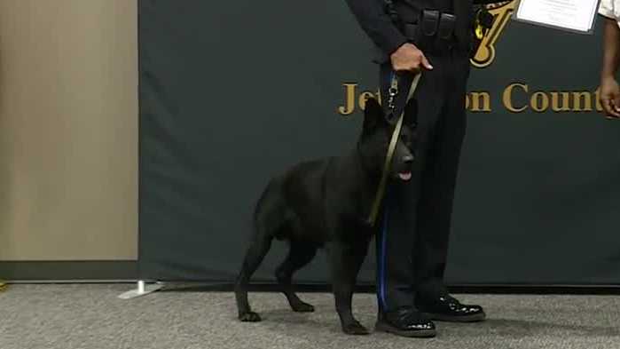 Jefferson County Sheriff's Office adds three certified K-9 teams