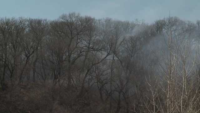 Omaha crews battling large grass fire near Ponca Hills - Vimarsana News