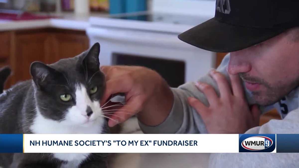 New Hampshire Humane Society launches Valentine's Day fundraiser