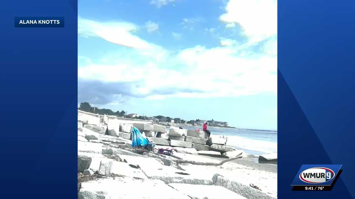 Fawn seen frolicking along North Beach in Hampton