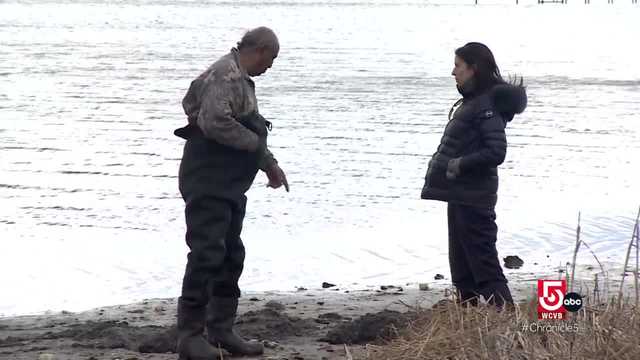 The historical love for oysters in New England - Vimarsana News
